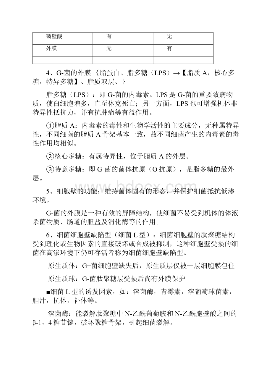 医学微生物学笔记总结得真的很好.docx_第3页