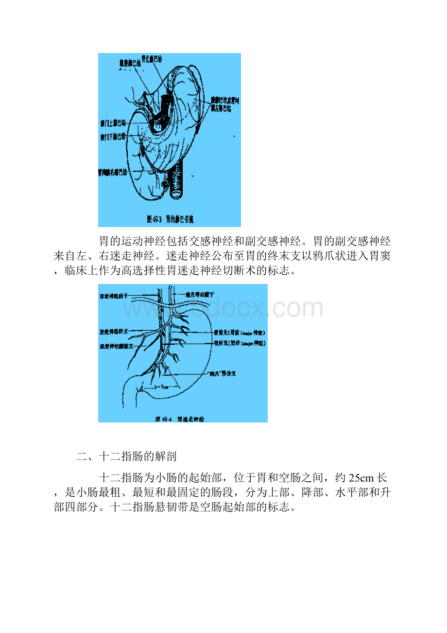 第十七单元 胃.docx_第3页