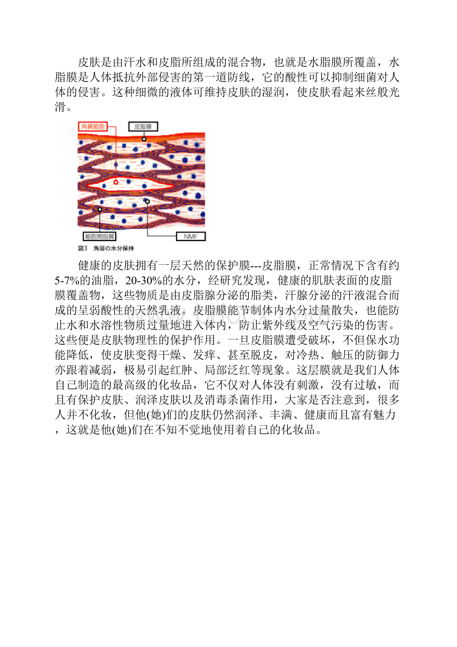 成长阶梯美容师培训课程.docx_第3页