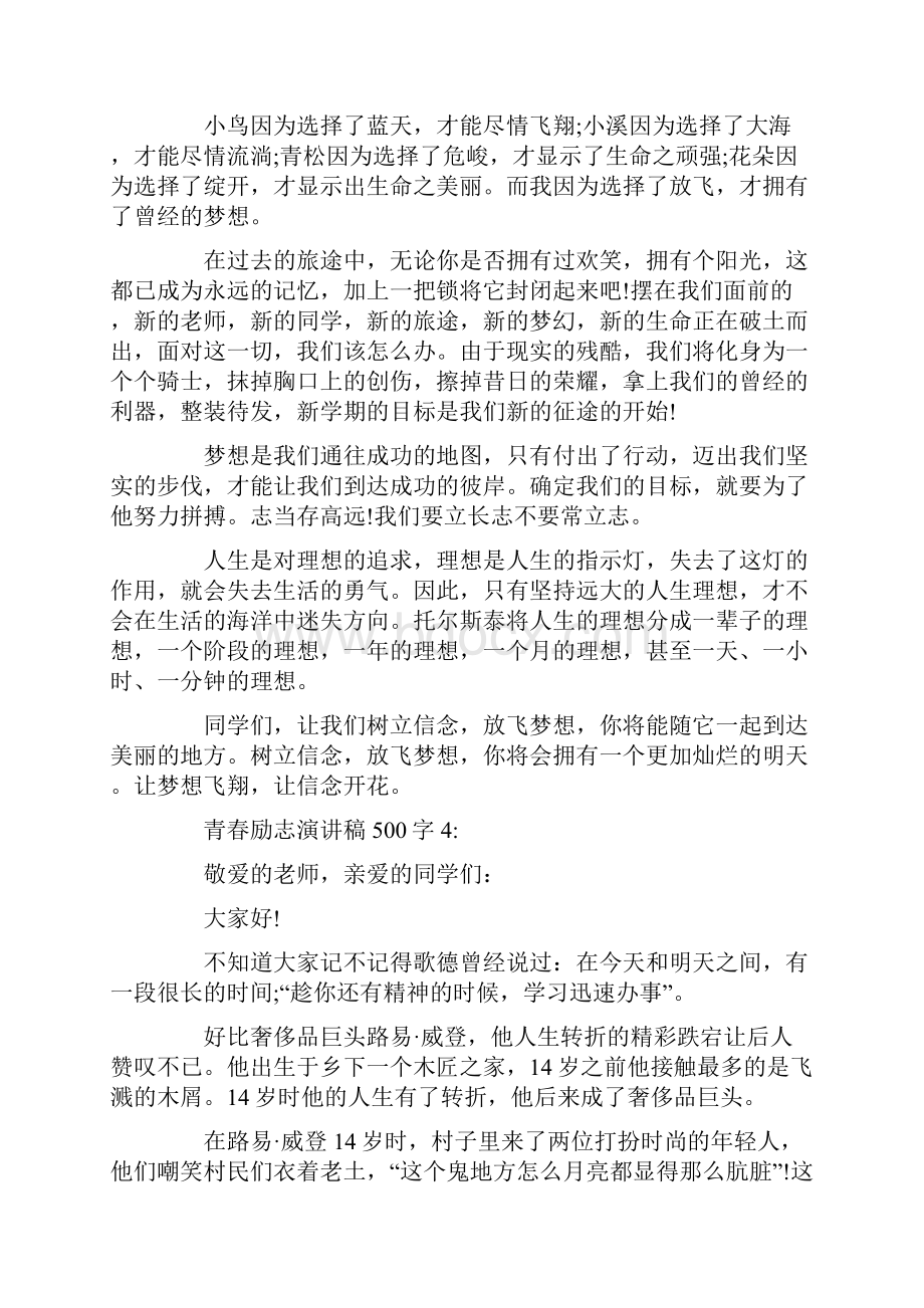 关于500字的青春励志演讲稿范文5篇.docx_第3页