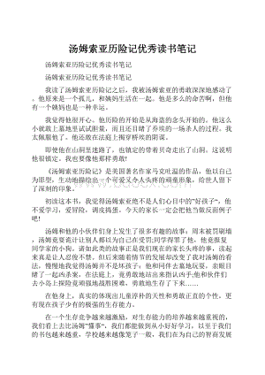 汤姆索亚历险记优秀读书笔记.docx