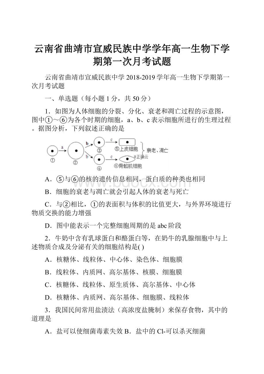 云南省曲靖市宣威民族中学学年高一生物下学期第一次月考试题.docx