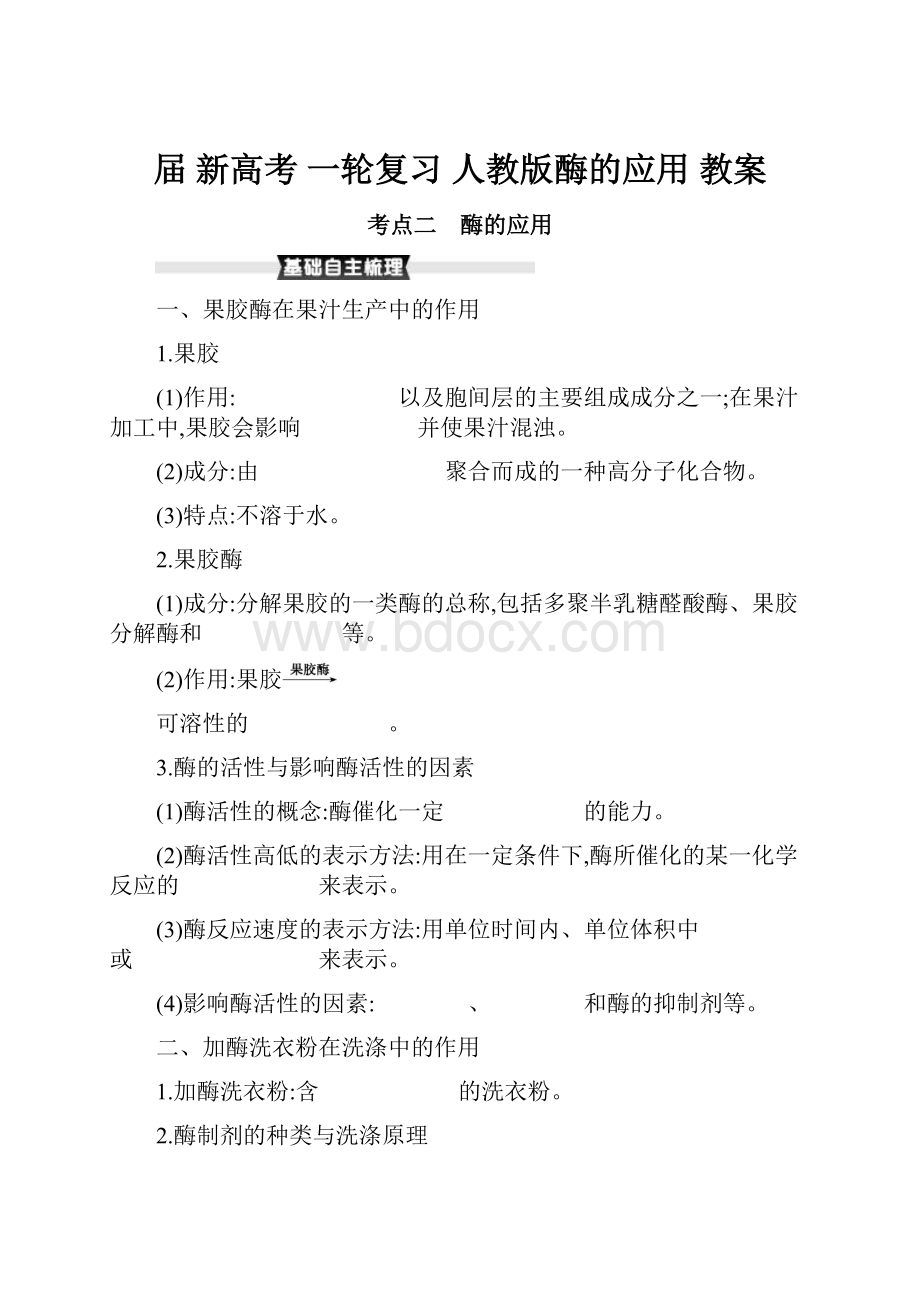 届 新高考 一轮复习人教版酶的应用 教案.docx