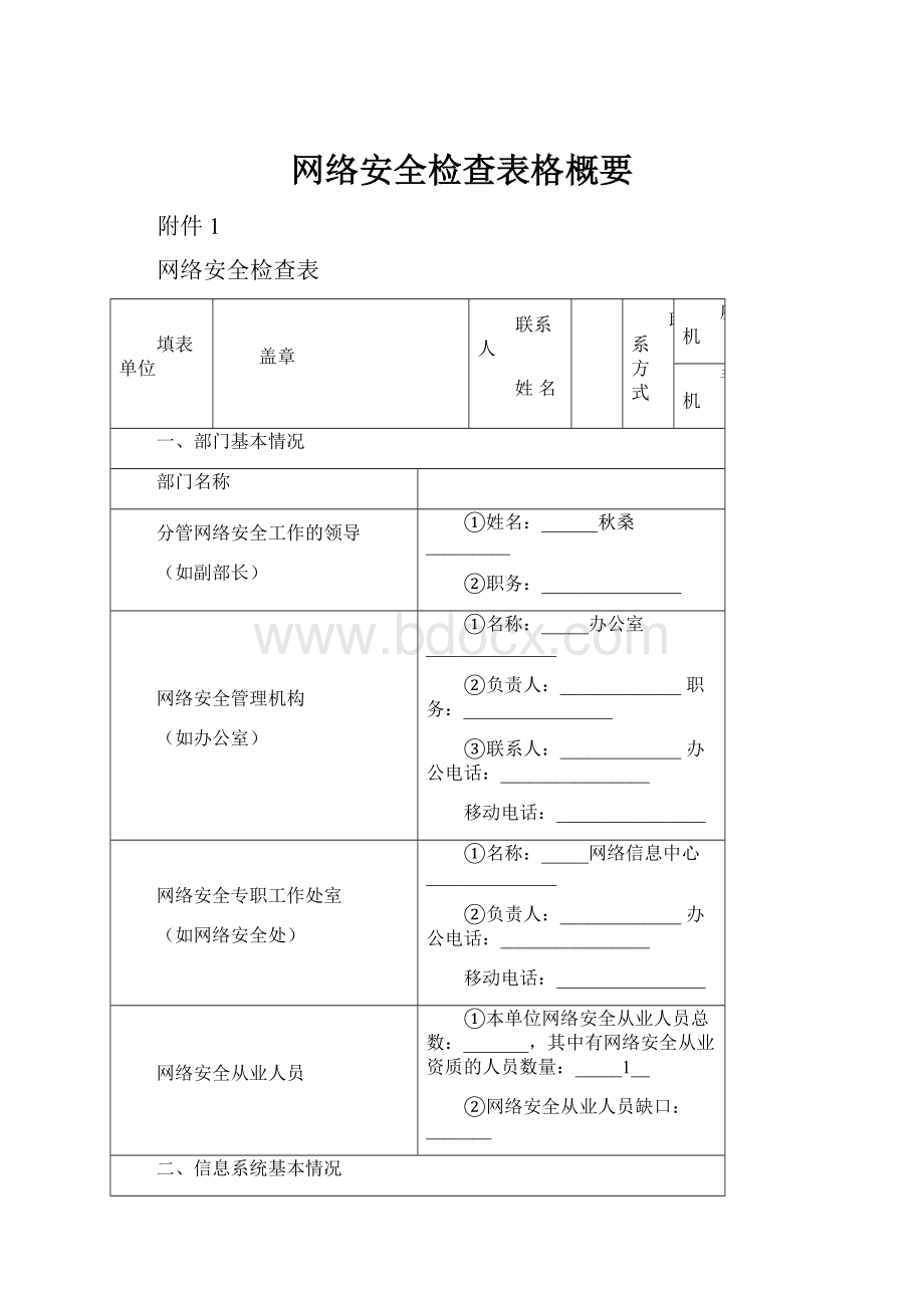 网络安全检查表格概要.docx