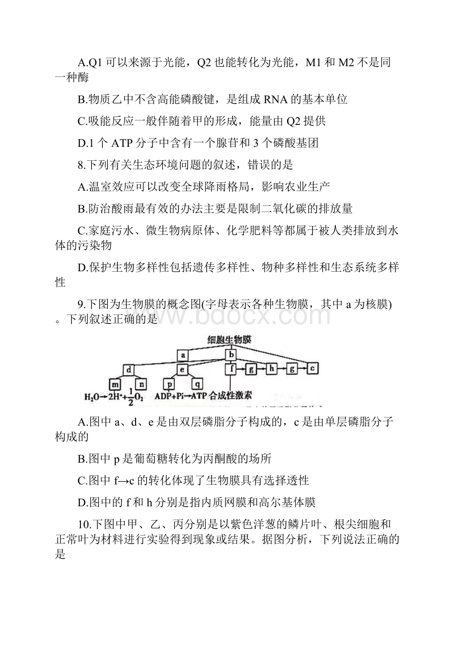 浙江省杭州市七县区学年高二生物上学期期末考试试题.docx_第3页