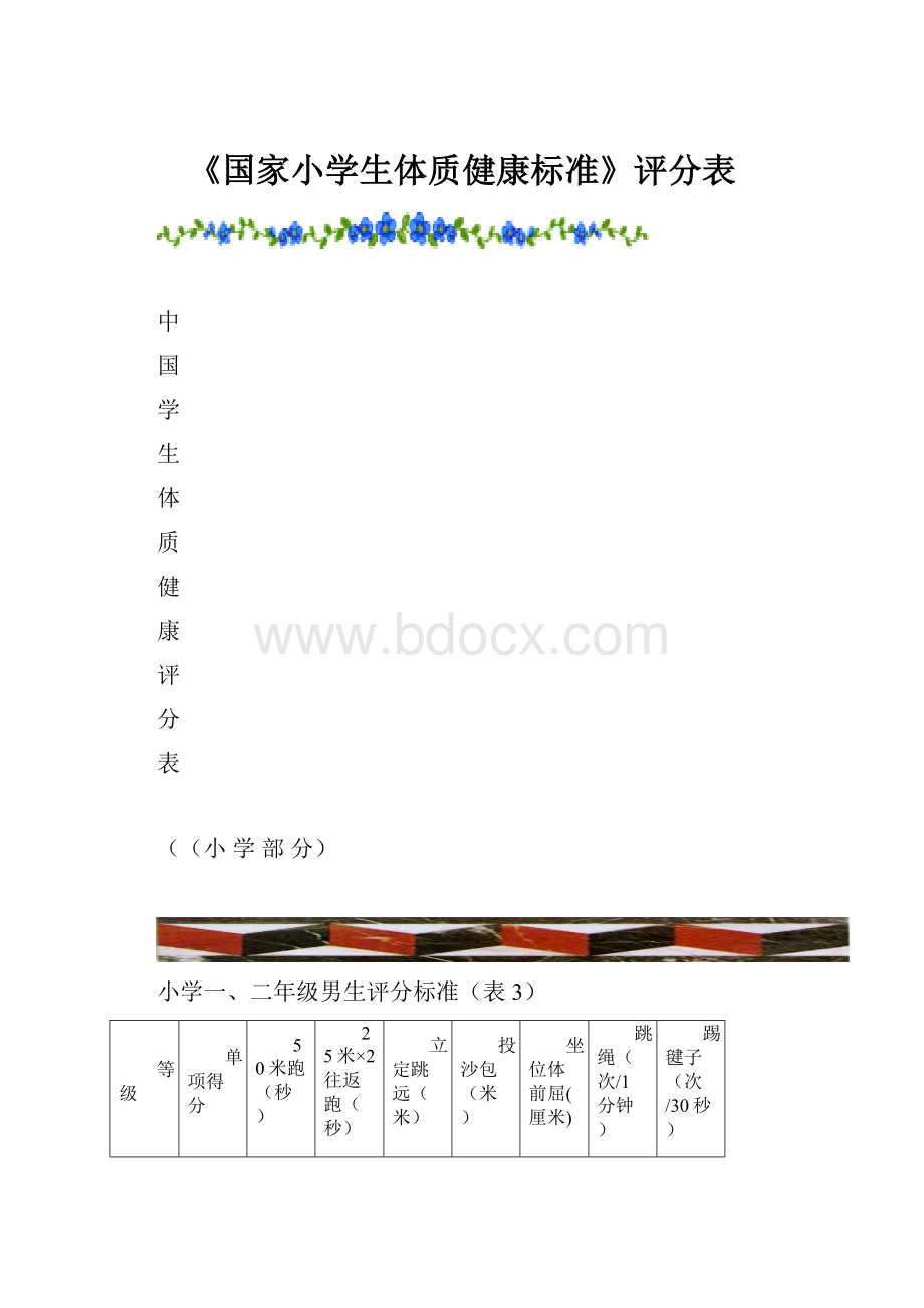 《国家小学生体质健康标准》评分表.docx_第1页