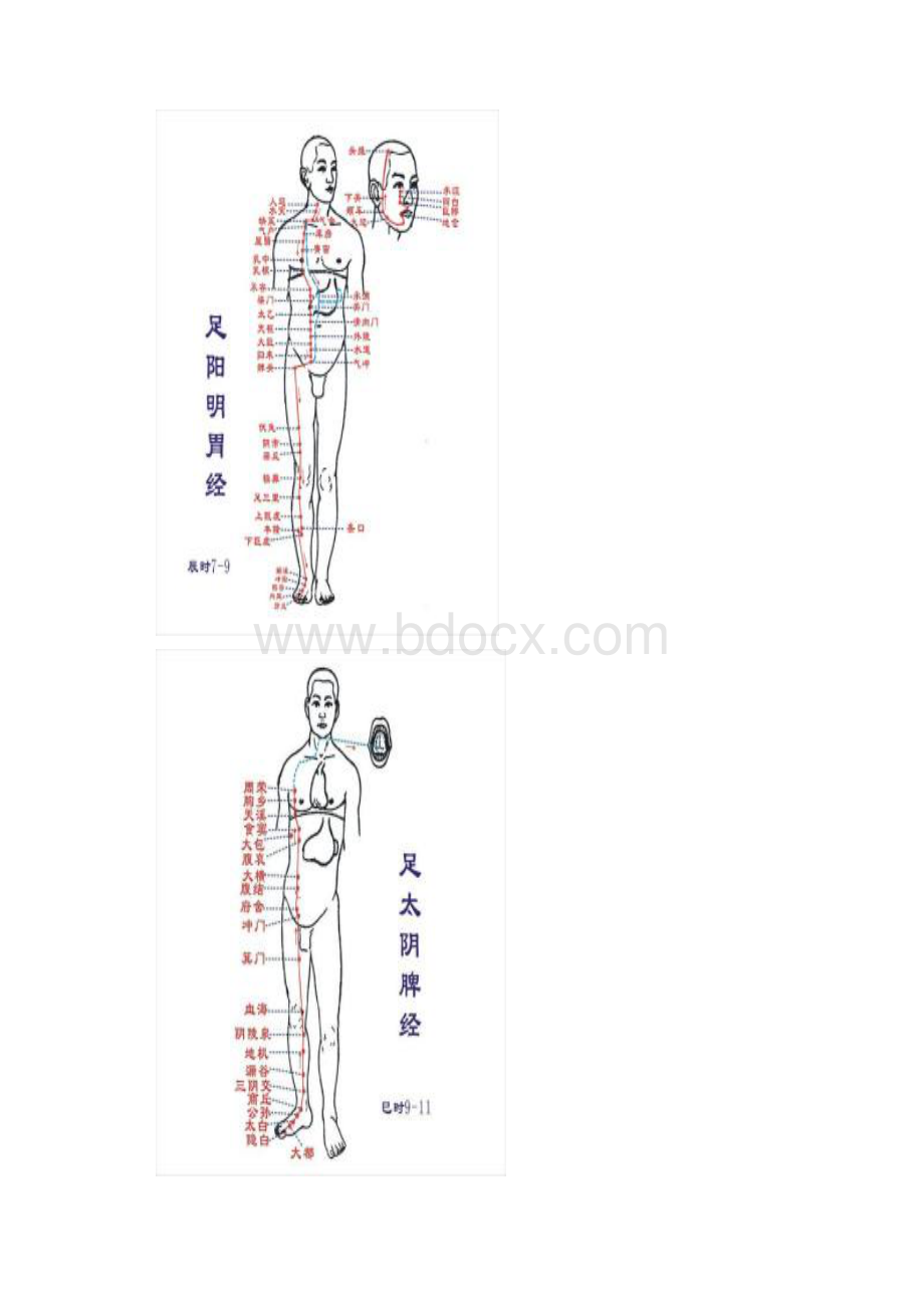 人体经络图彩色适合打印挂墙上.docx_第2页