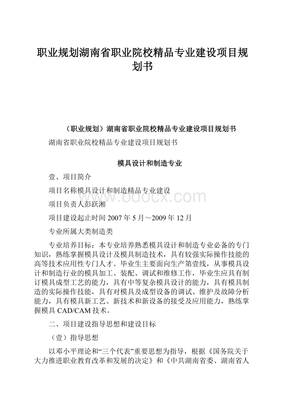 职业规划湖南省职业院校精品专业建设项目规划书.docx