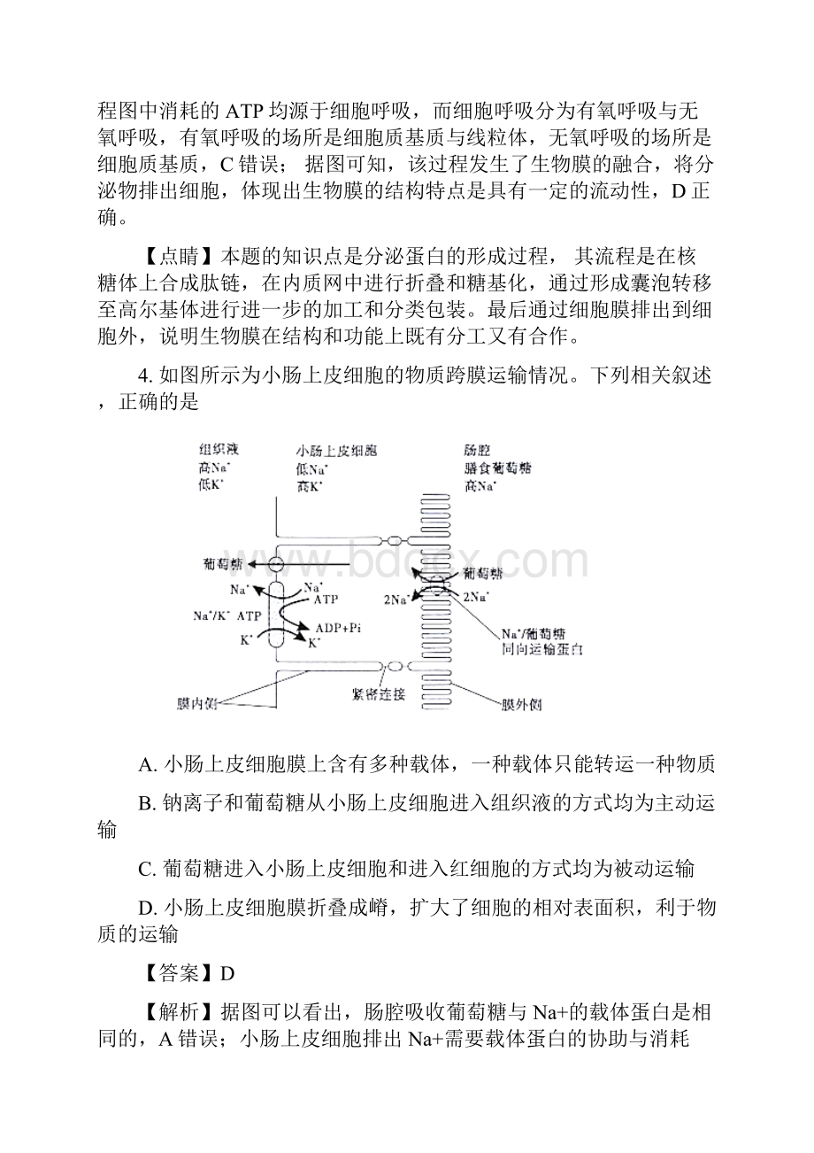 届安徽省皖江名校联盟高三联考生物试题解析版.docx_第3页