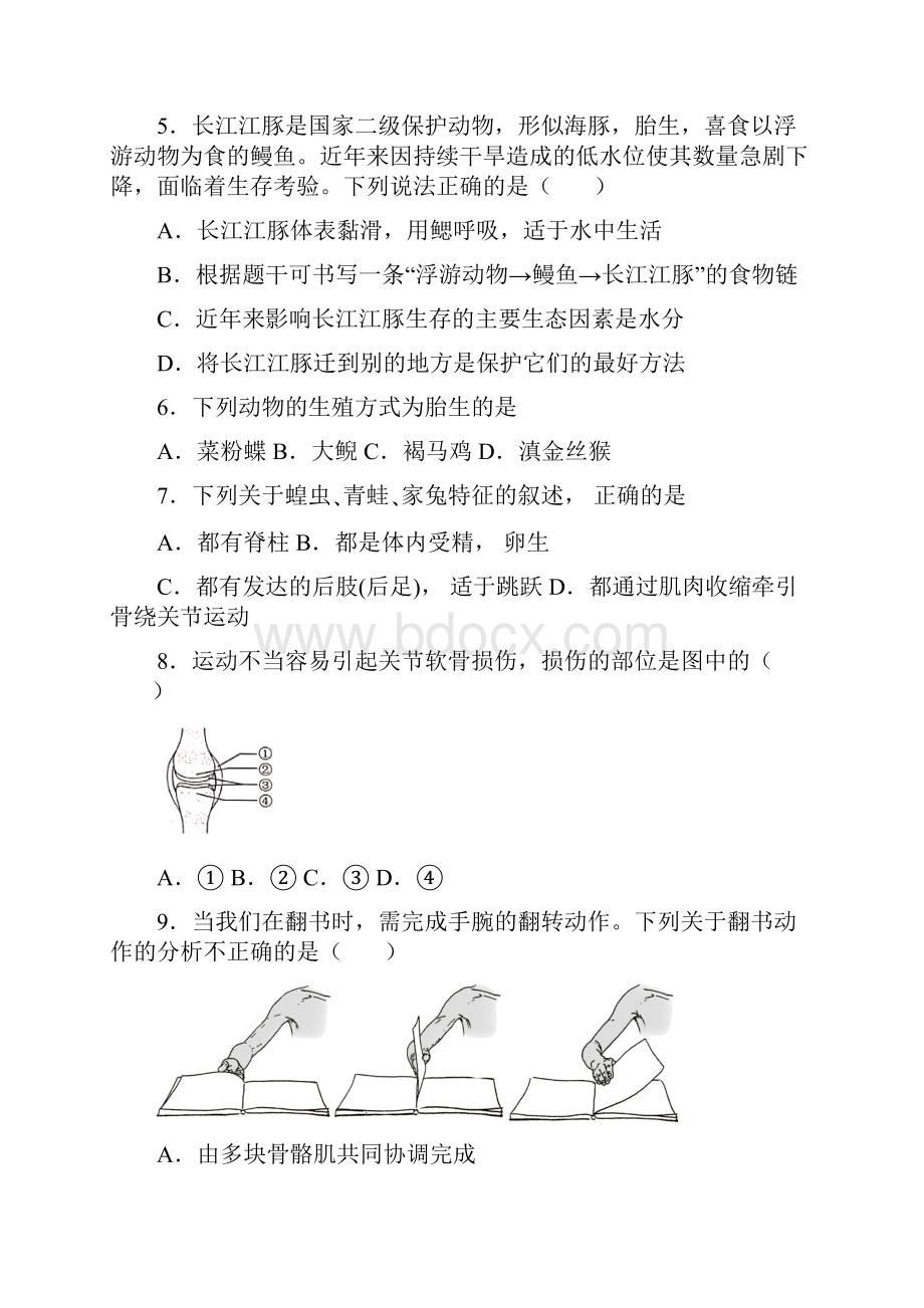 北京市北京汇文中学学年八年级上学期期中生物试题.docx_第2页