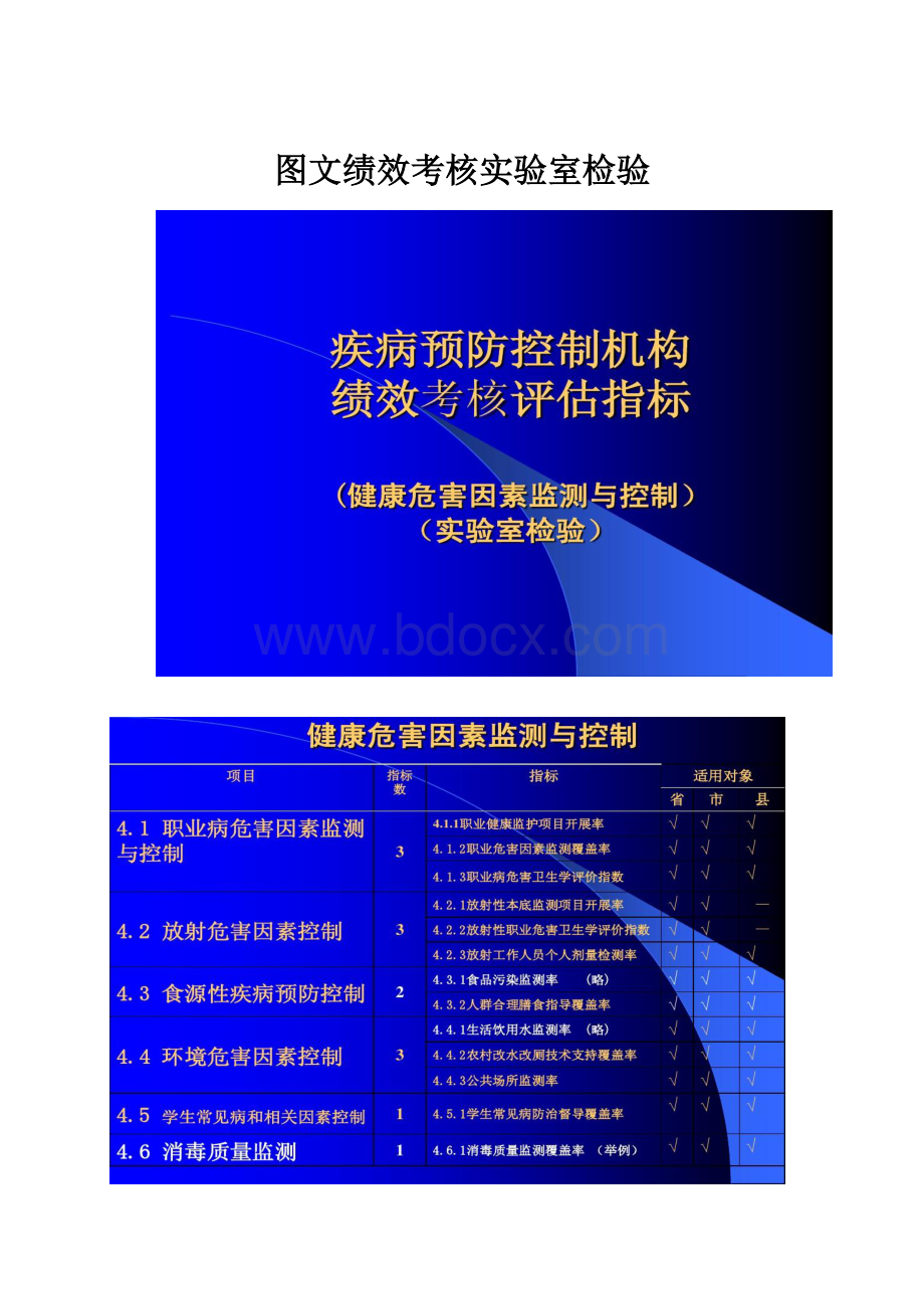 图文绩效考核实验室检验.docx_第1页