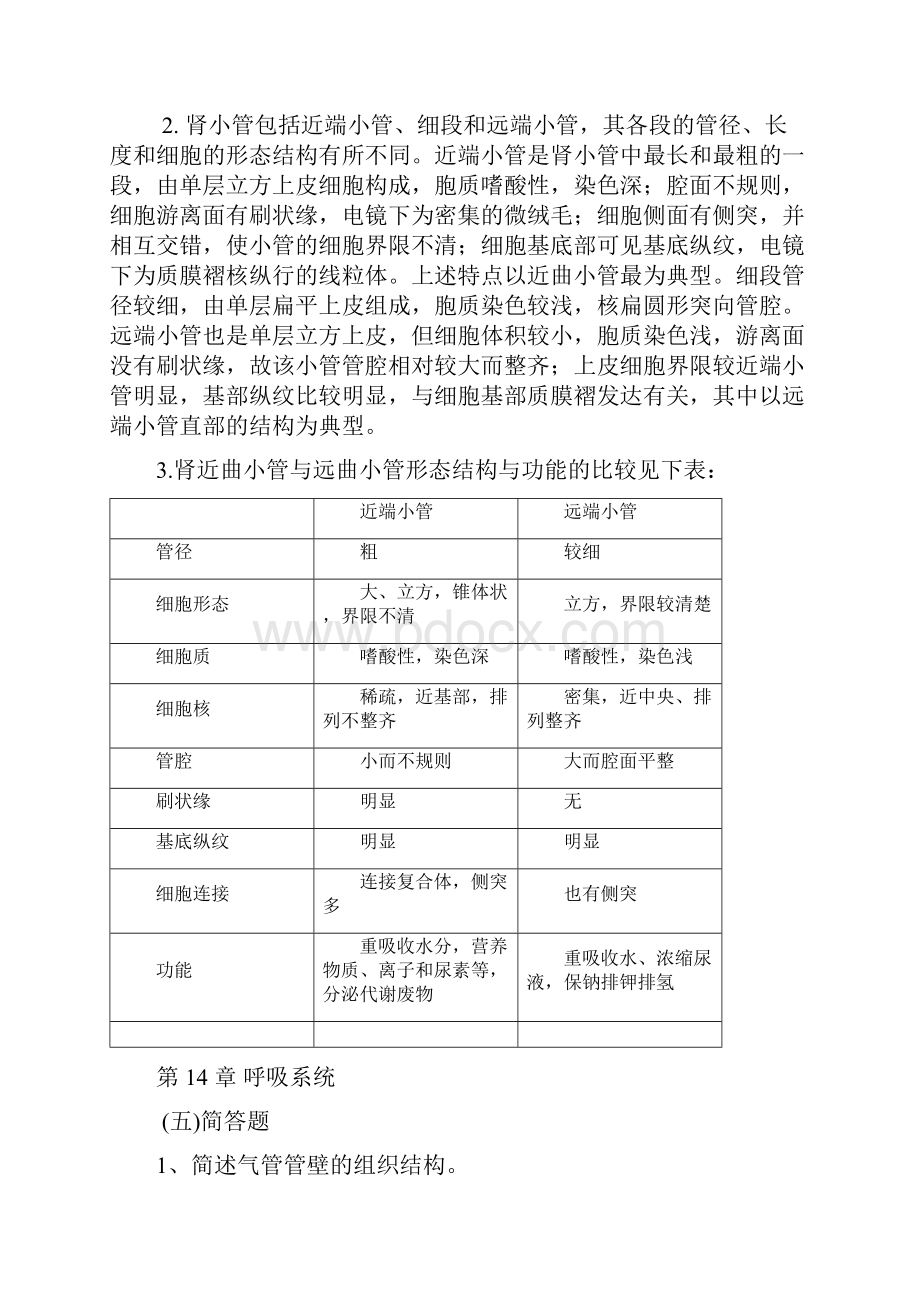 重庆医科大学系统解剖学简答.docx_第3页