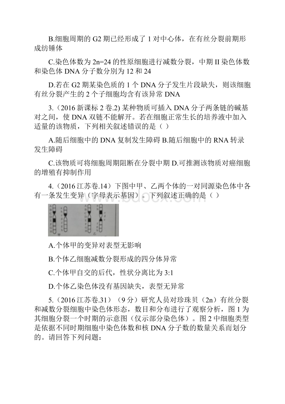 专题05有丝分裂与减数分裂高考二轮核心考点生物无答案 2.docx_第2页