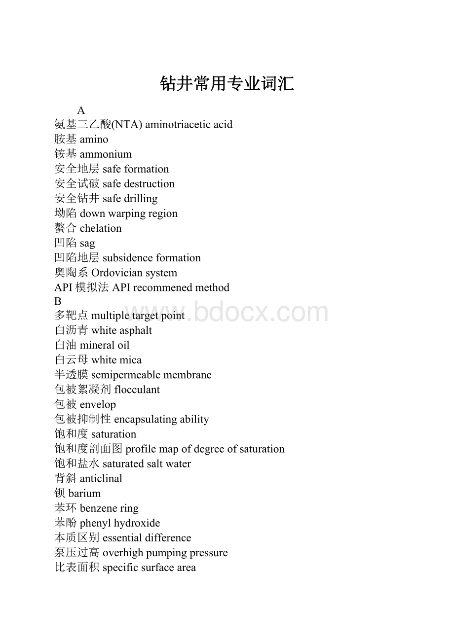 钻井常用专业词汇.docx