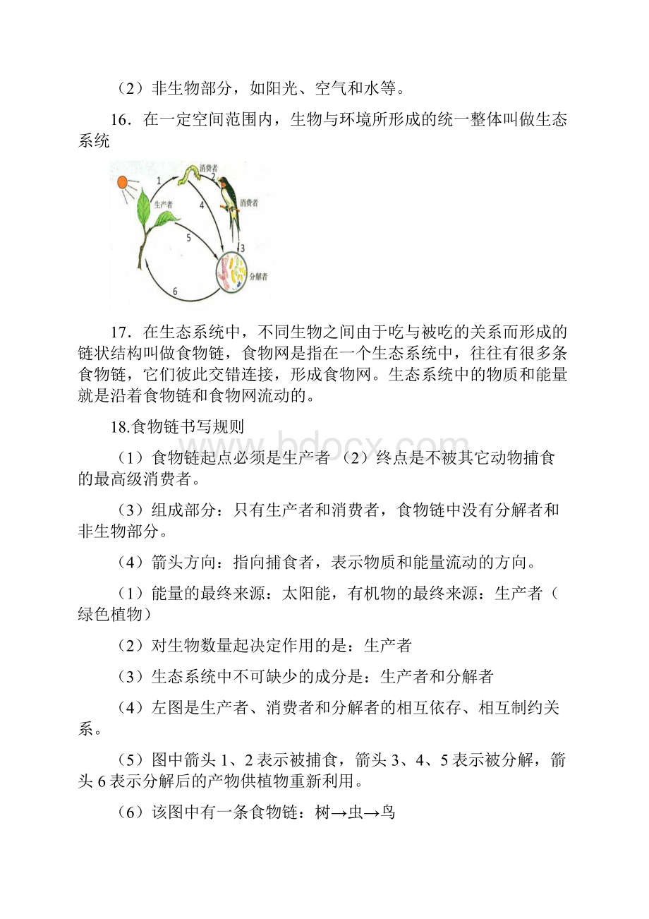 七年级上册知识点.docx_第3页