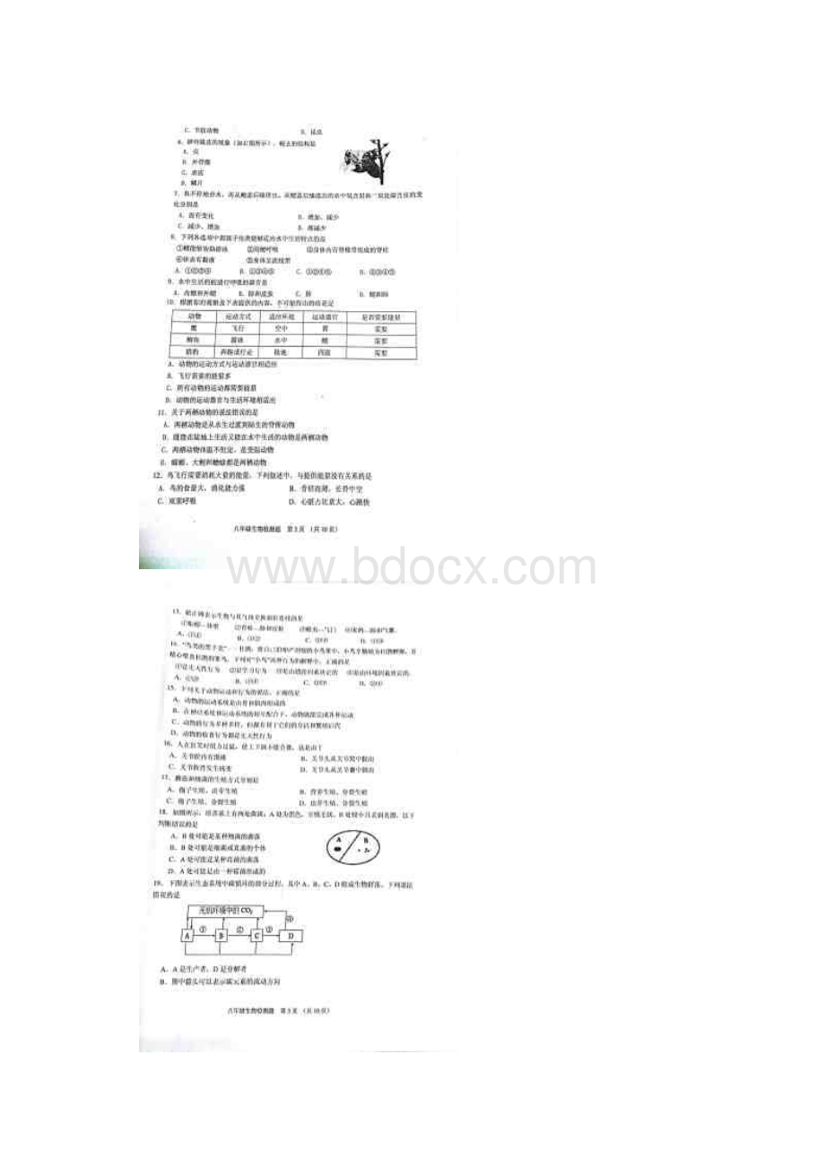 山东省青岛市黄岛区学年八年级生物上学期期中试题新人教 精品.docx_第2页