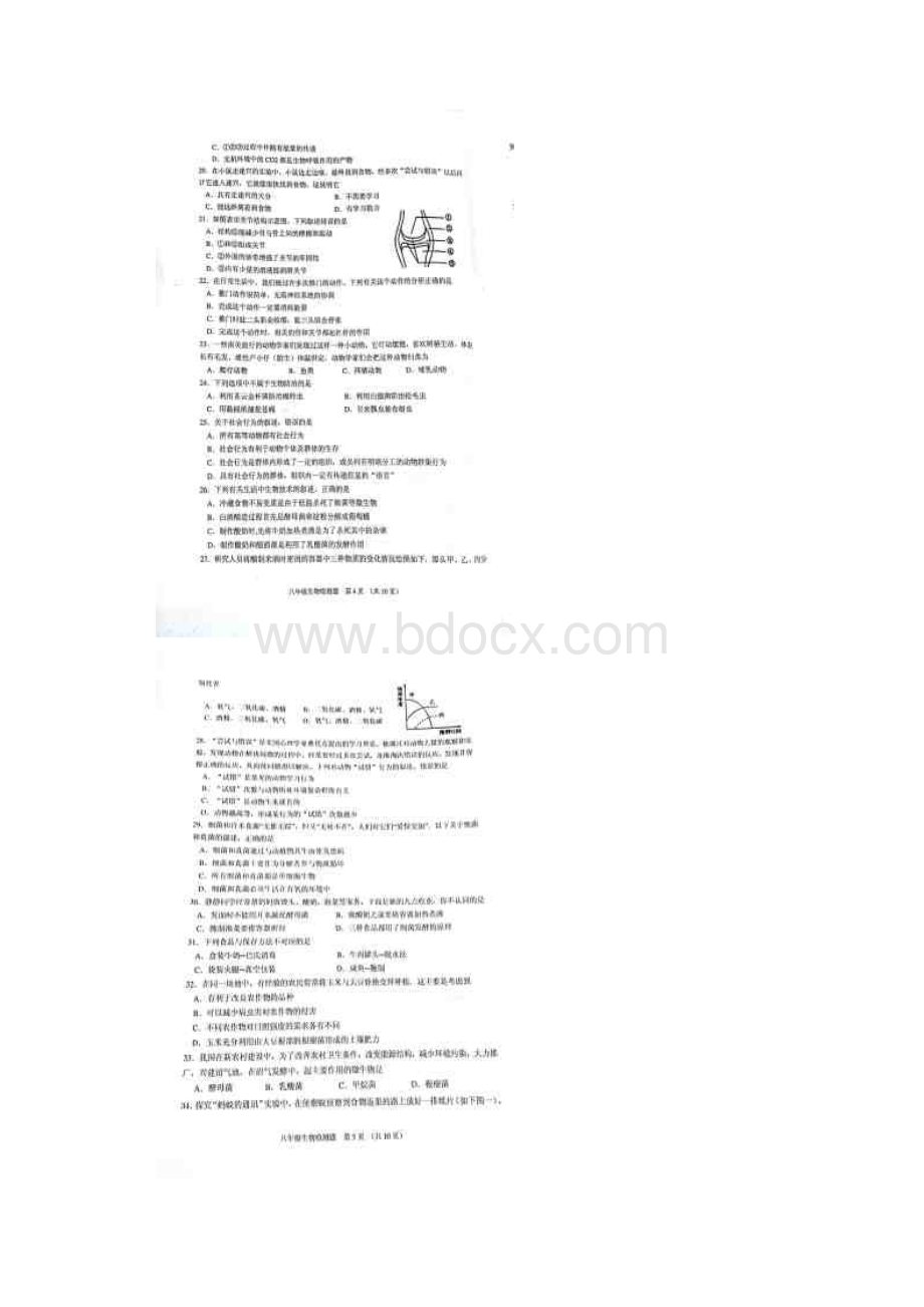 山东省青岛市黄岛区学年八年级生物上学期期中试题新人教 精品.docx_第3页