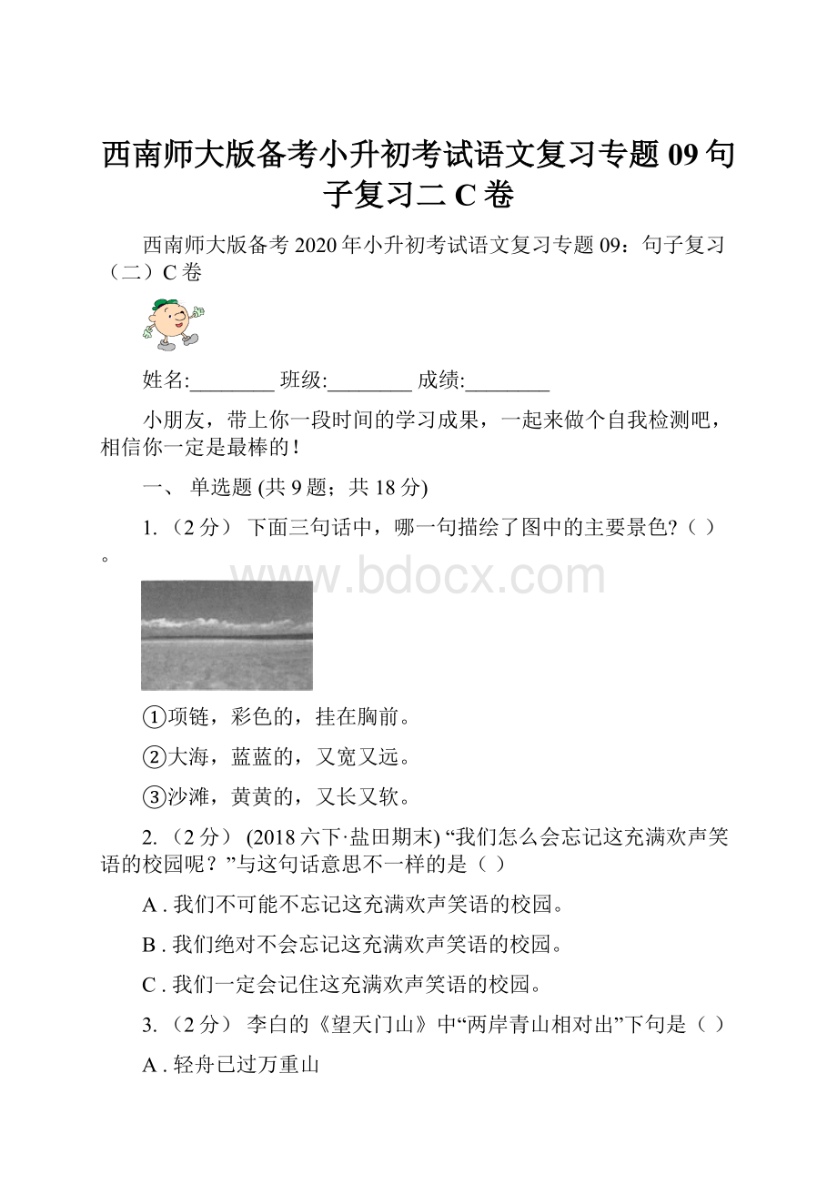 西南师大版备考小升初考试语文复习专题09句子复习二C卷.docx_第1页