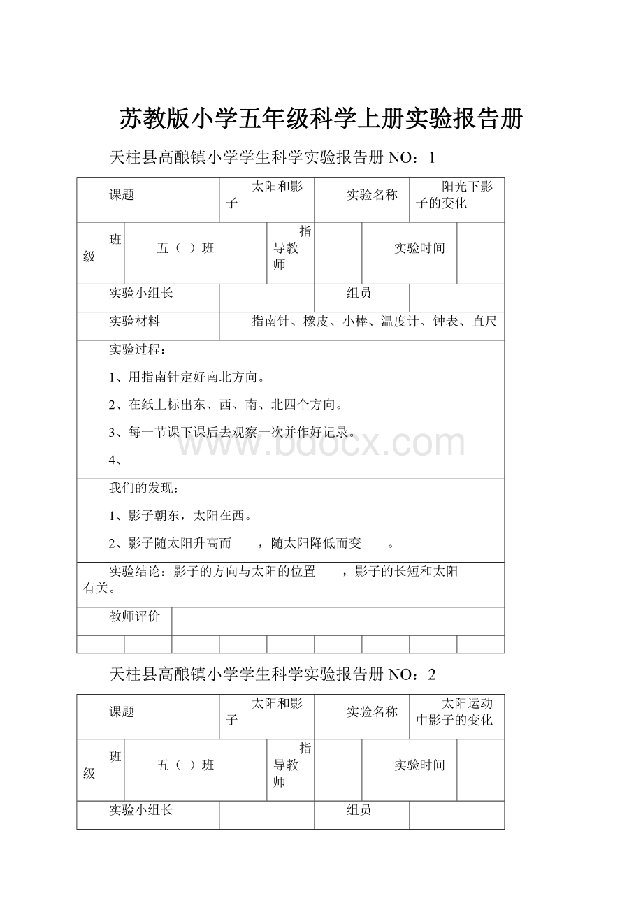 苏教版小学五年级科学上册实验报告册.docx_第1页