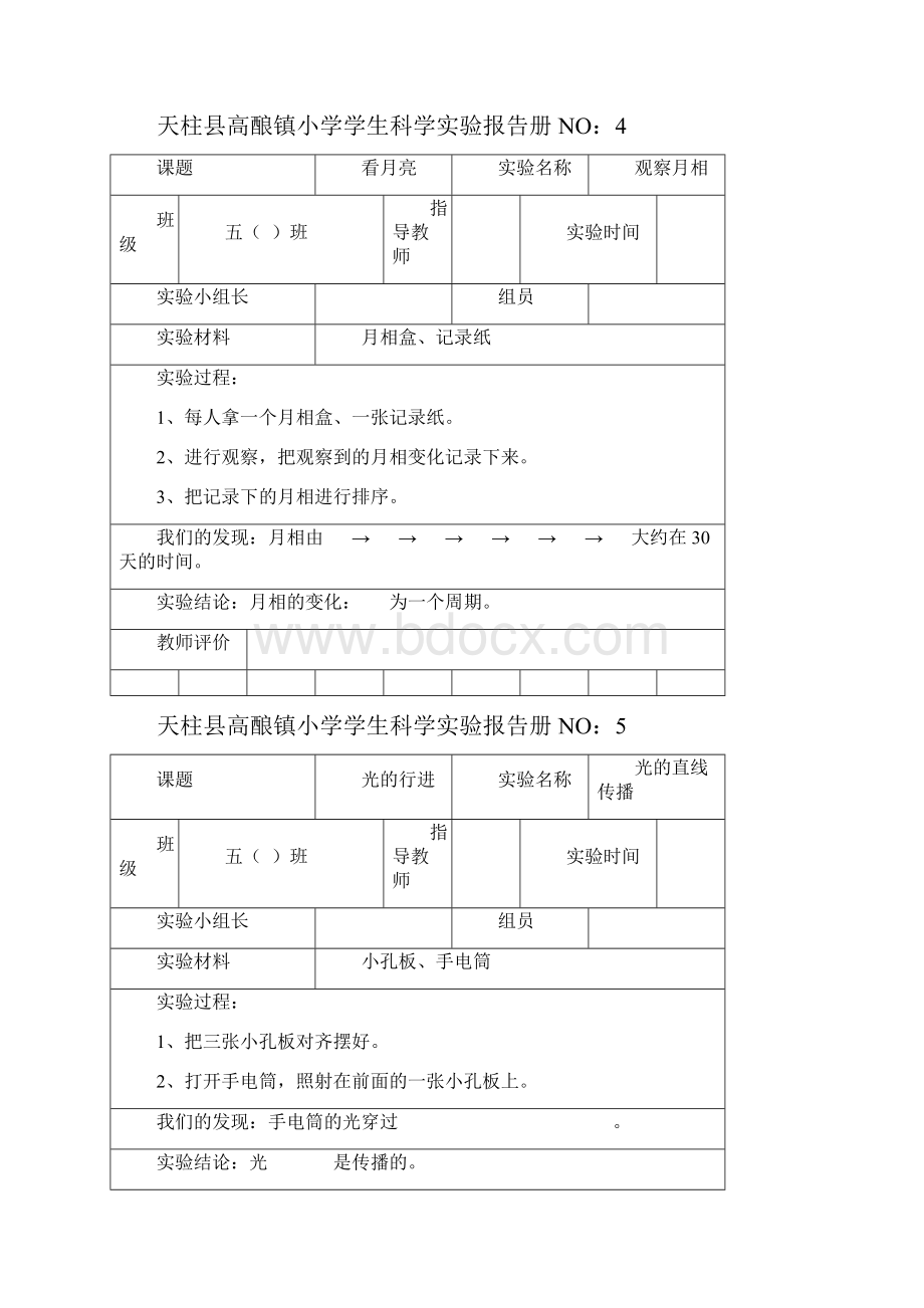 苏教版小学五年级科学上册实验报告册.docx_第3页