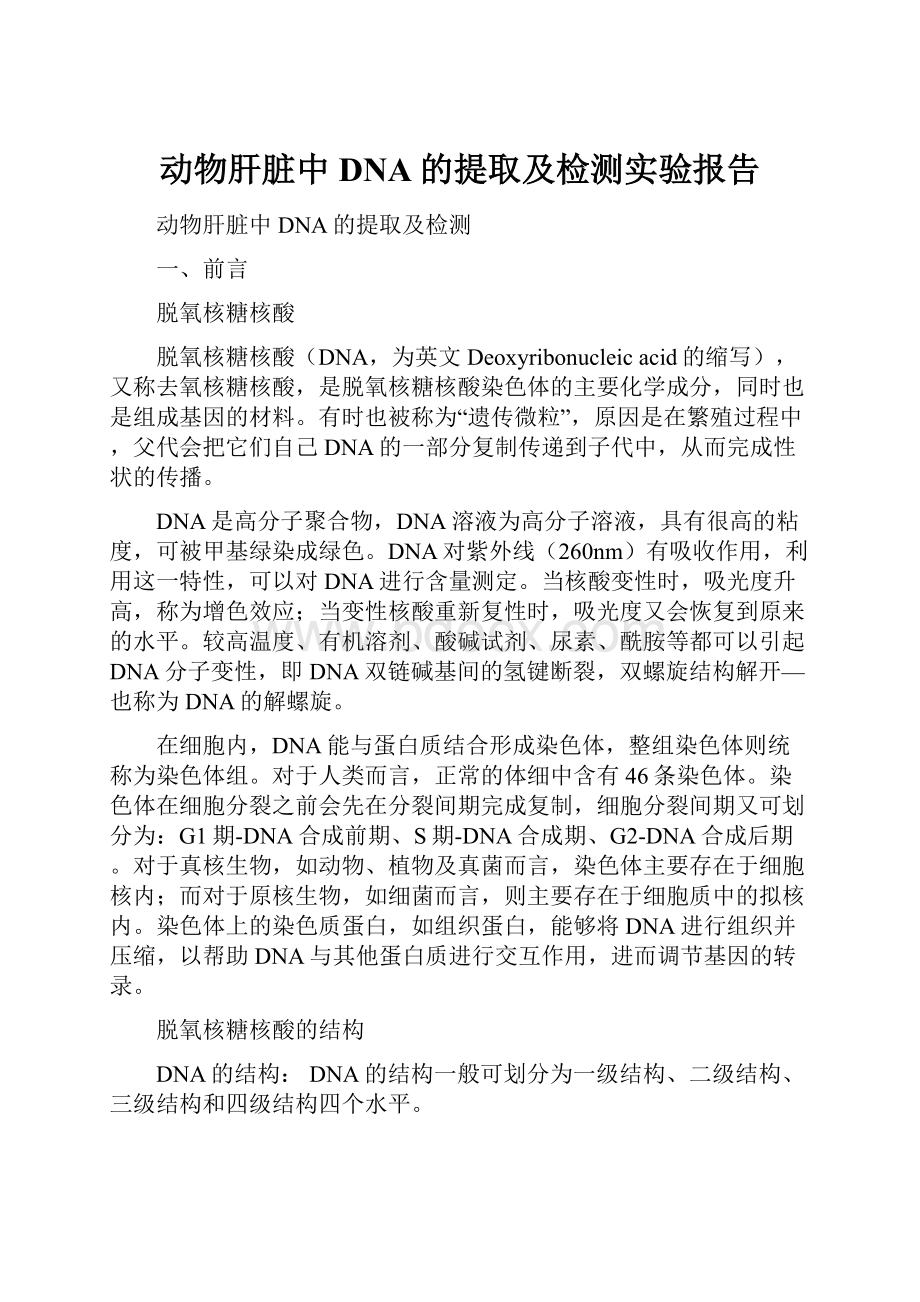 动物肝脏中DNA的提取及检测实验报告.docx