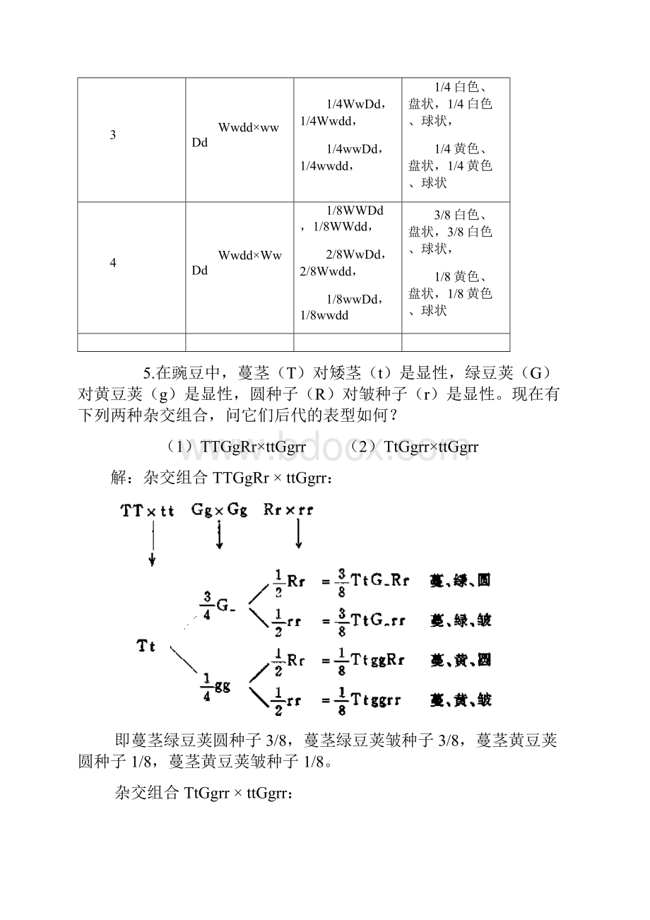 第二章孟德尔定律.docx_第3页