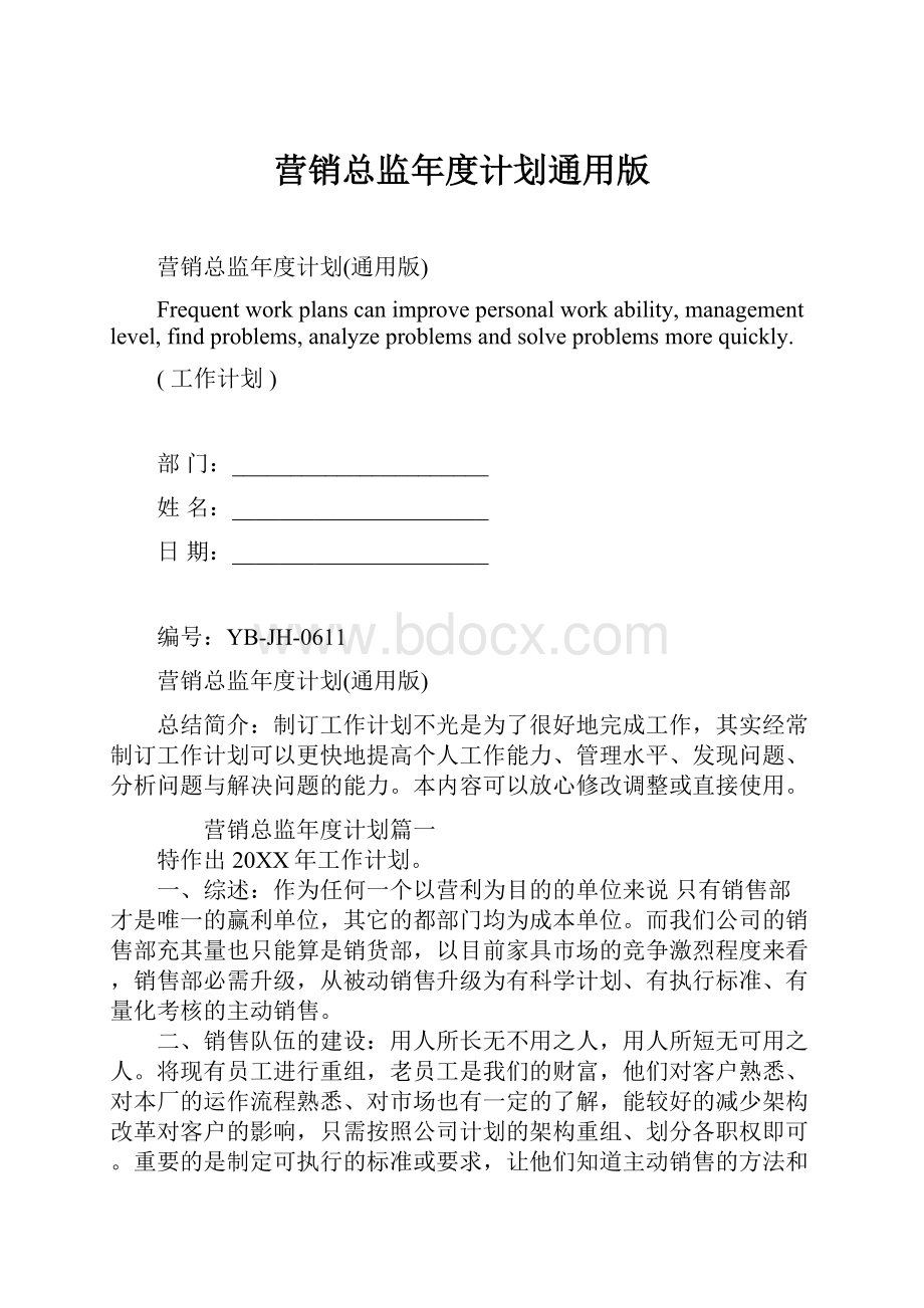 营销总监年度计划通用版.docx