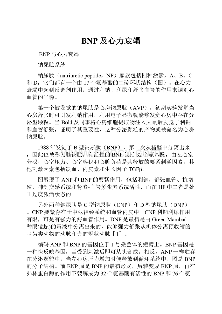 BNP及心力衰竭.docx_第1页