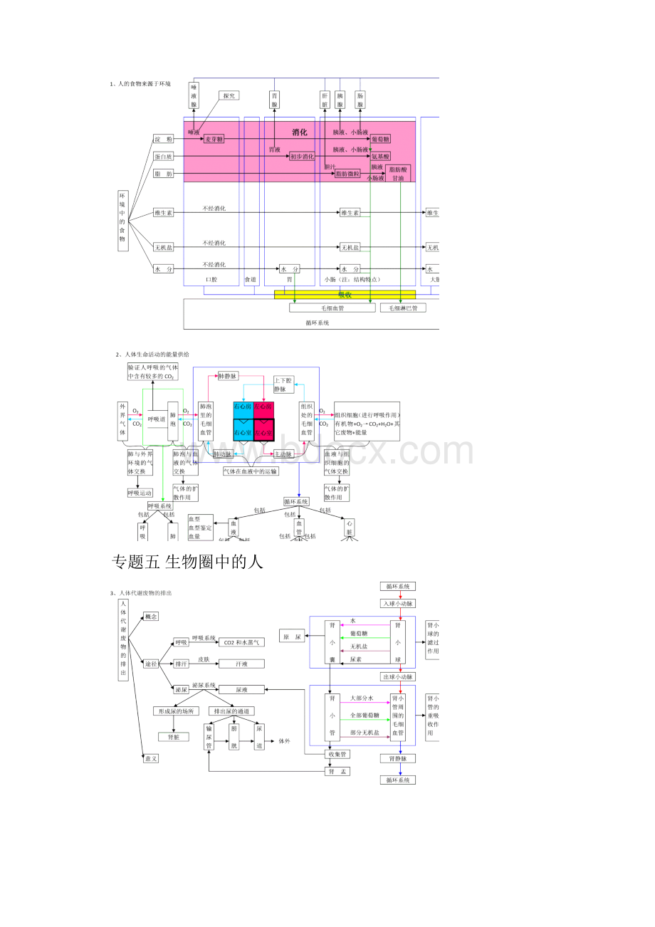 初中生物概念图1.docx_第3页