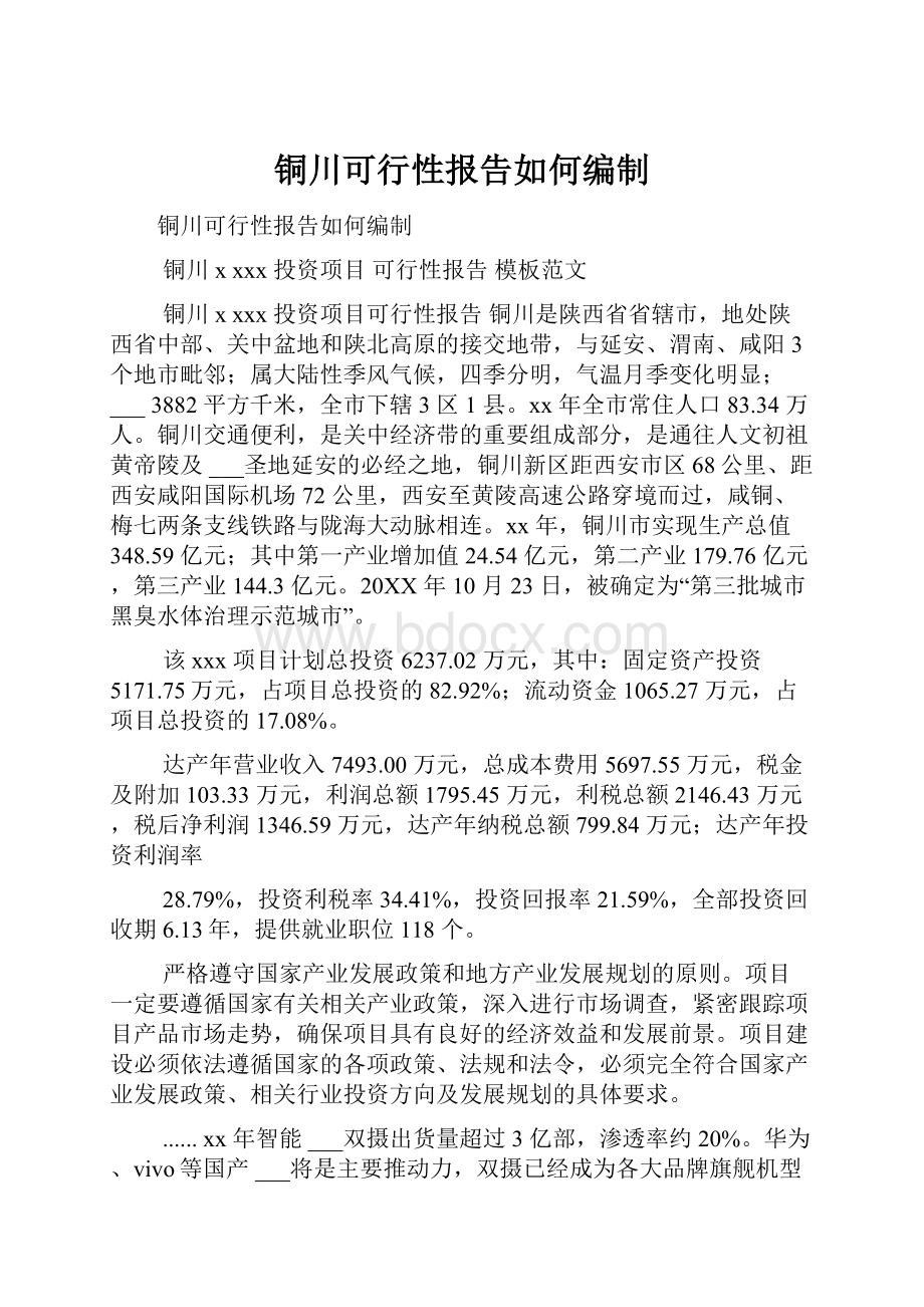 铜川可行性报告如何编制.docx_第1页