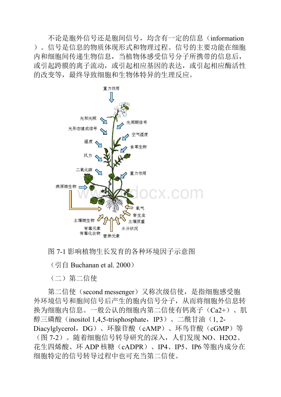 高中生物竞赛教程 第7章 植物细胞信号转导.docx_第2页