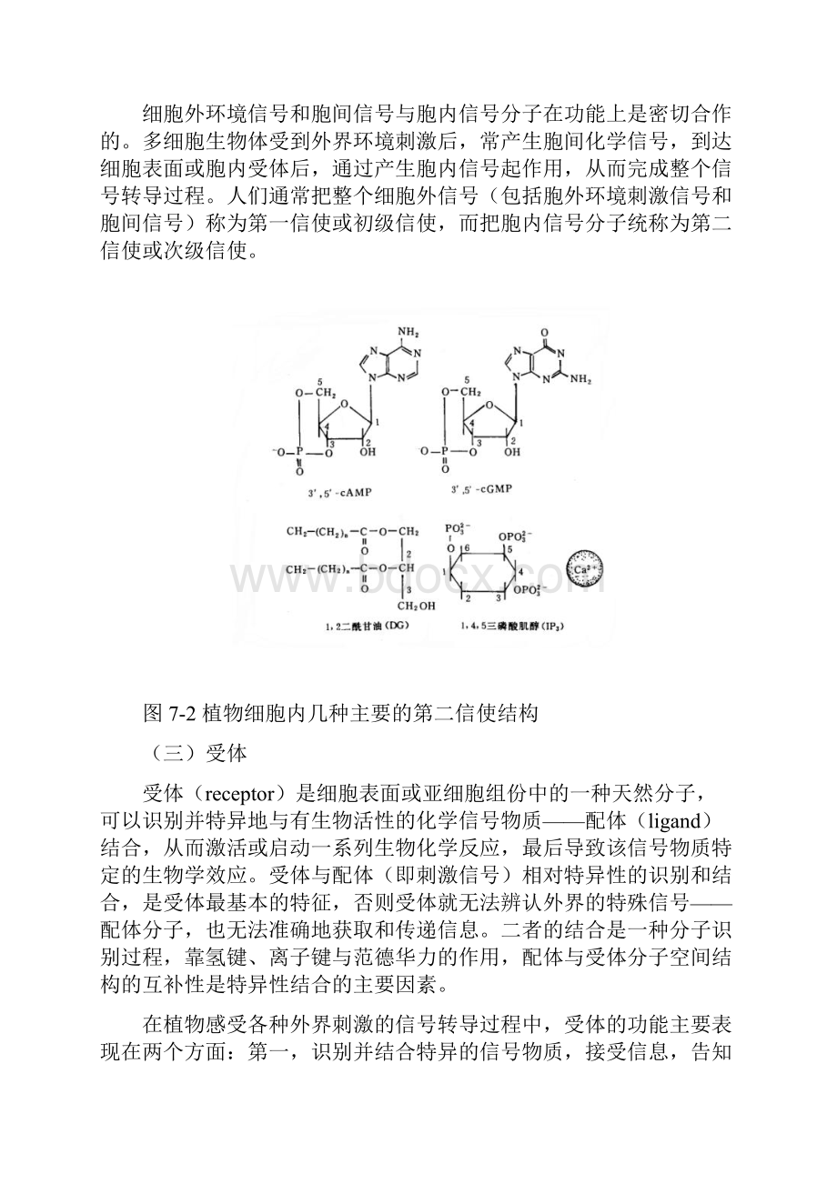 高中生物竞赛教程 第7章 植物细胞信号转导.docx_第3页