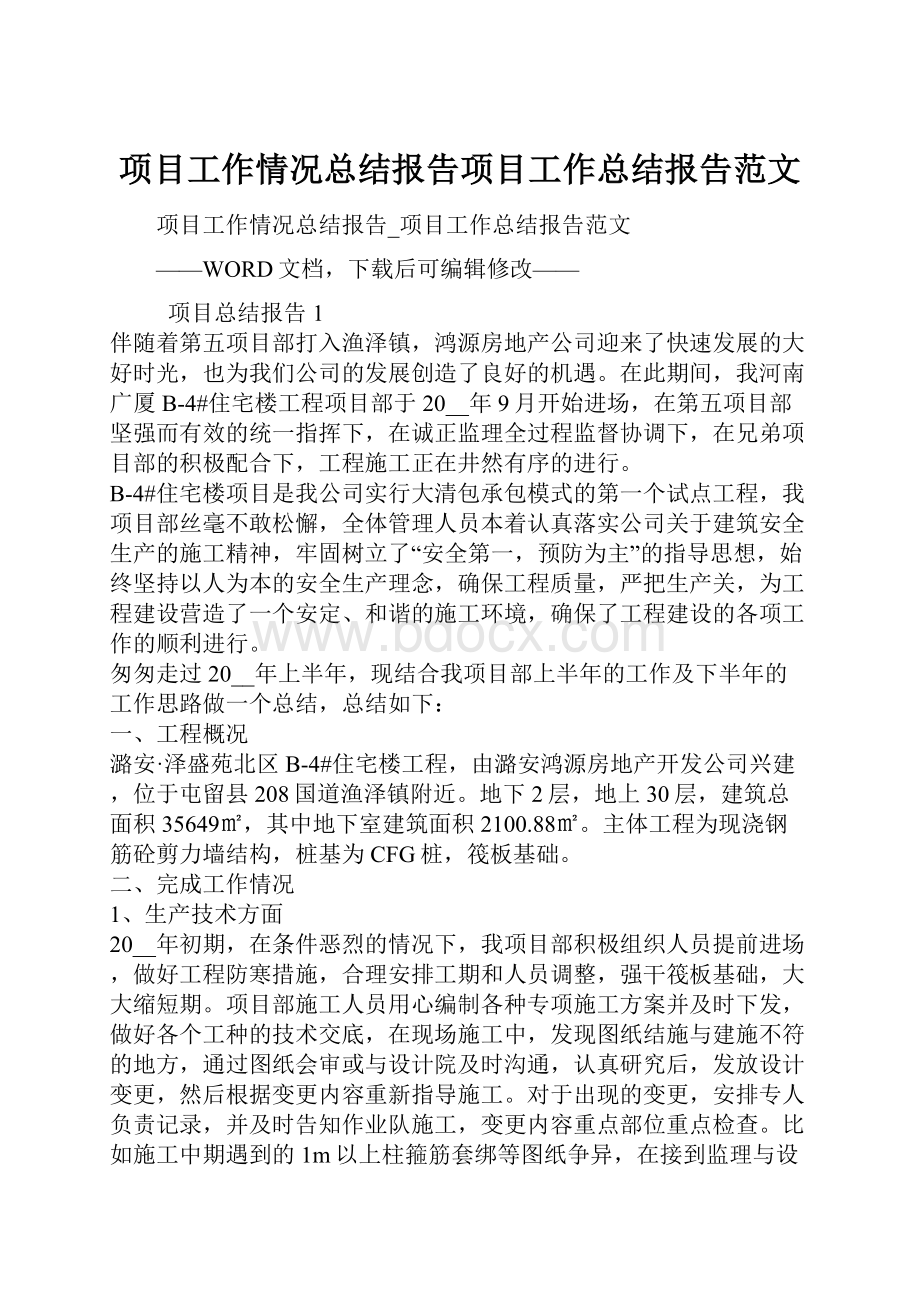 项目工作情况总结报告项目工作总结报告范文.docx_第1页