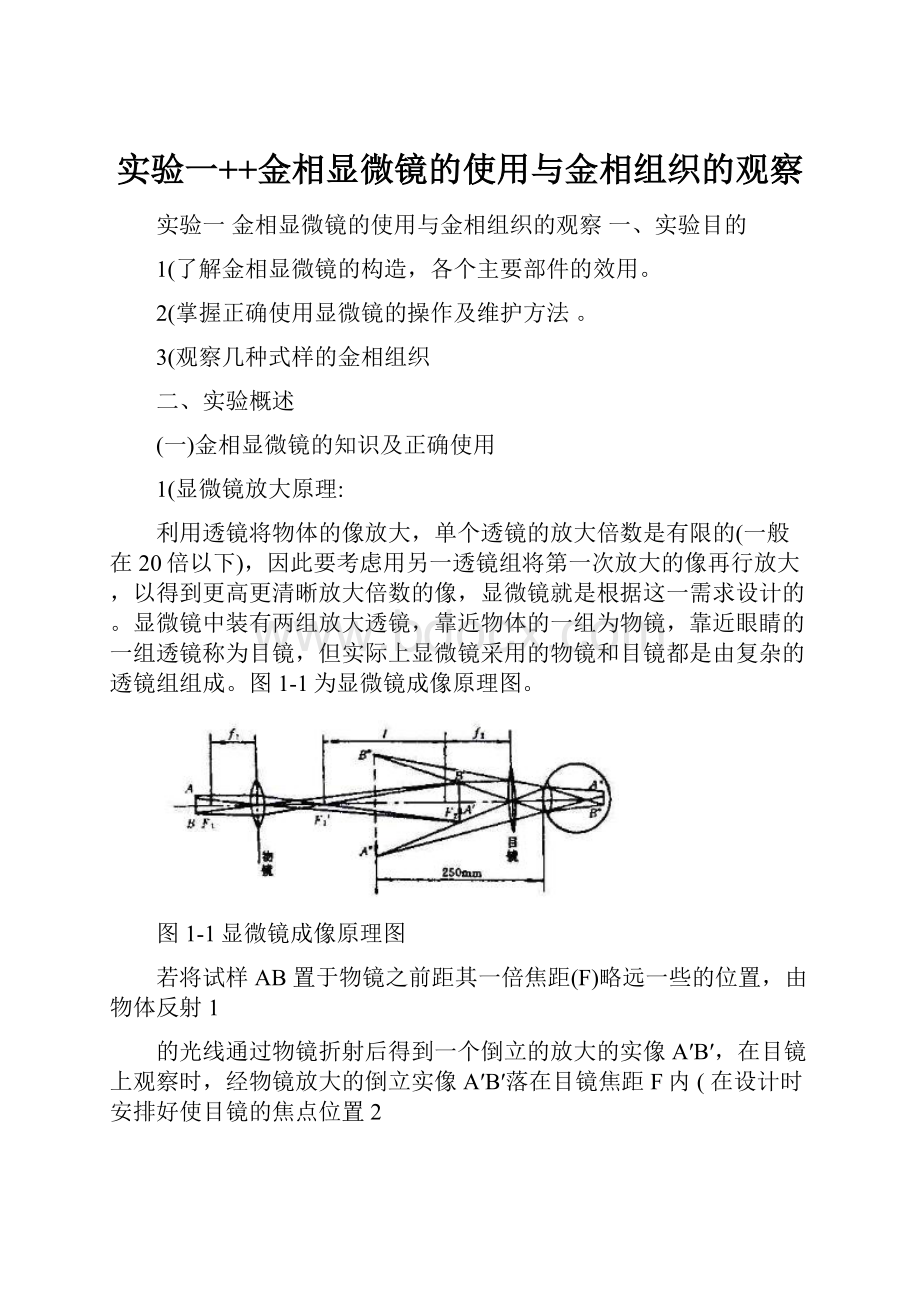 实验一++金相显微镜的使用与金相组织的观察.docx