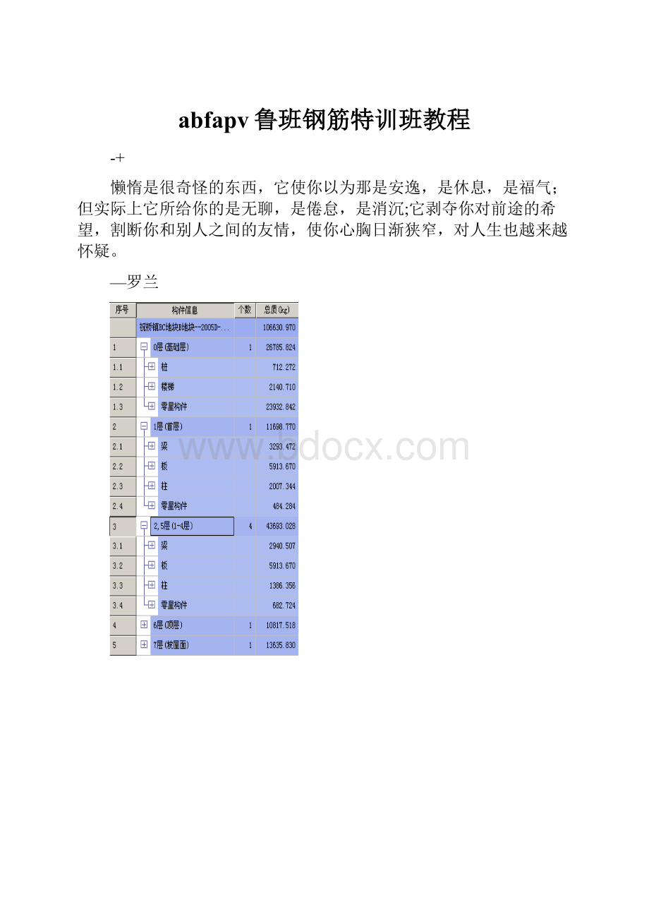 abfapv鲁班钢筋特训班教程.docx