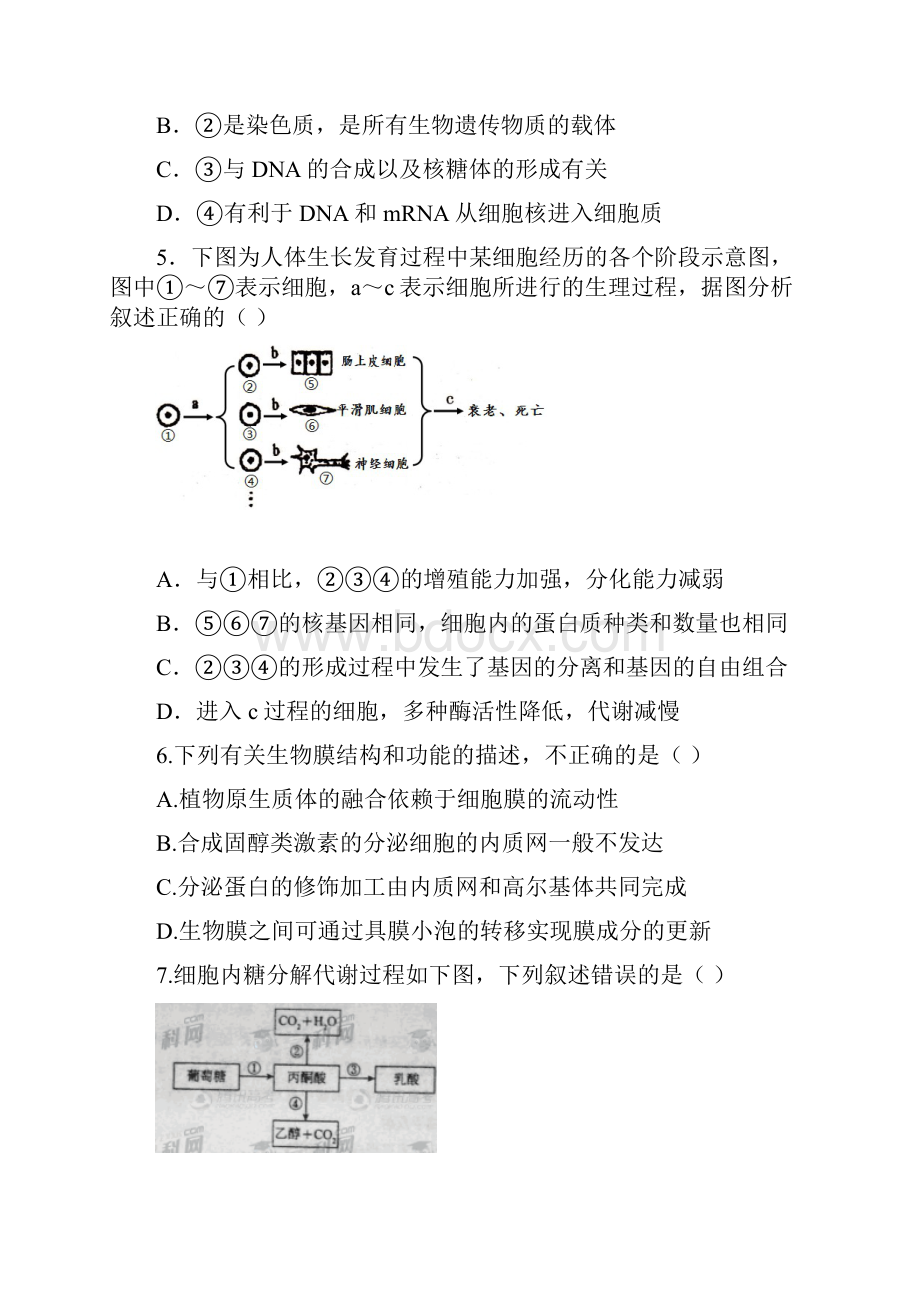 陕西省咸阳市武功县绿野高中届高三上学期摸底考试生物试题.docx_第3页