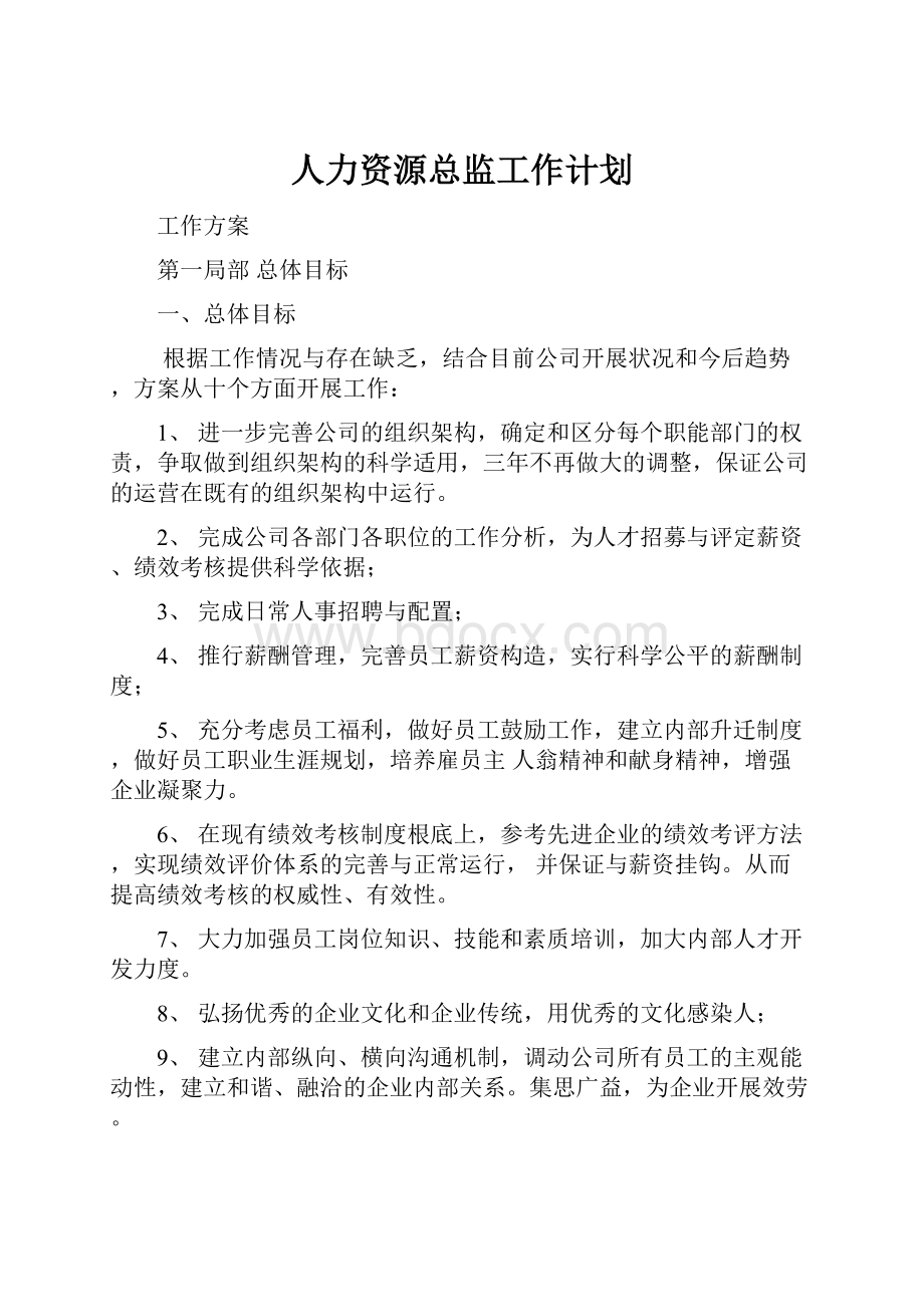 人力资源总监工作计划.docx_第1页