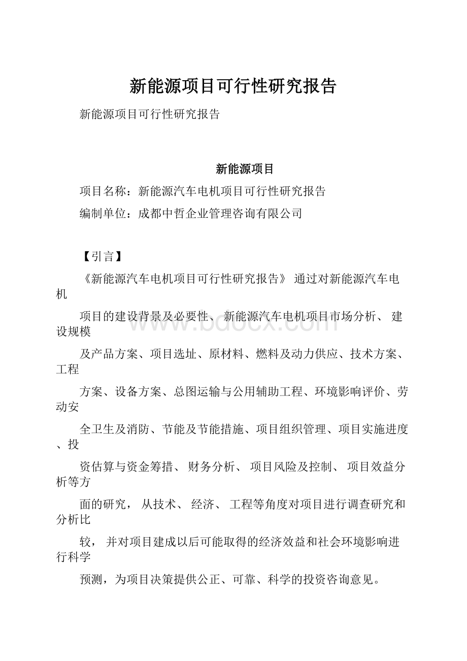 新能源项目可行性研究报告.docx_第1页