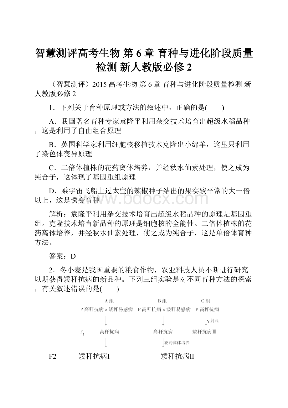 智慧测评高考生物 第6章 育种与进化阶段质量检测 新人教版必修2.docx