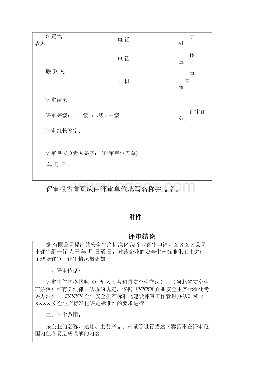 工贸行业评审报告.docx_第3页