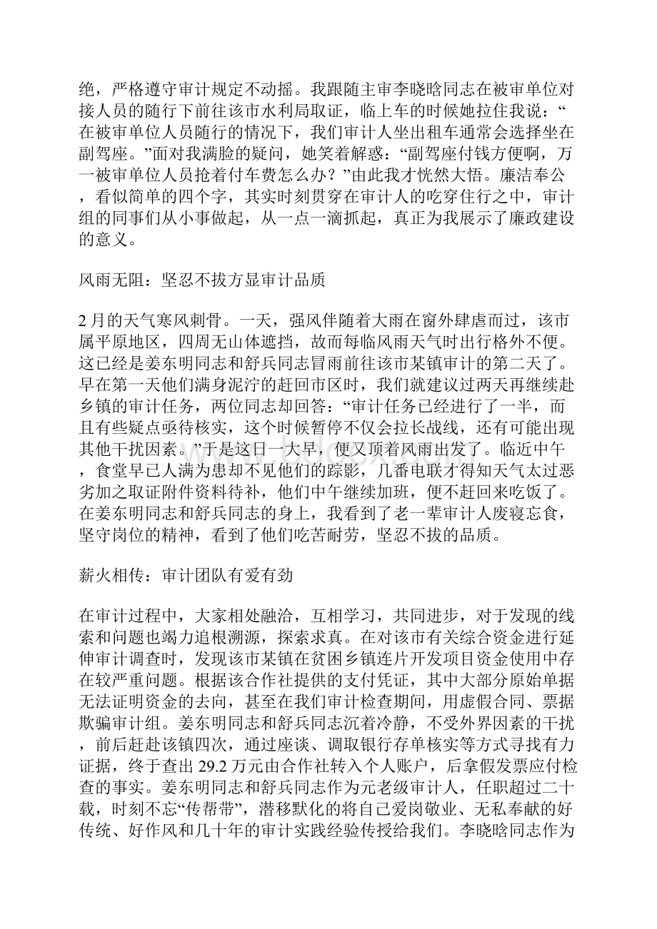 审计故事征文六篇.docx_第3页