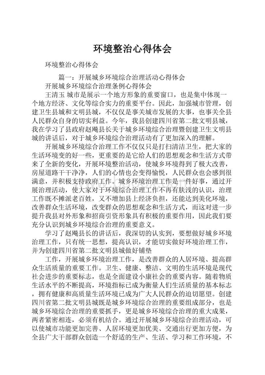 环境整治心得体会.docx_第1页