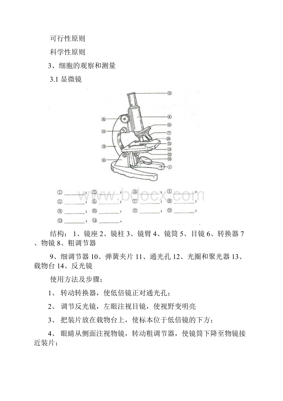 最新精编沪科版高中生命科学第一册第一章《走进生命科学》知识点工作总结精品模板.docx_第3页