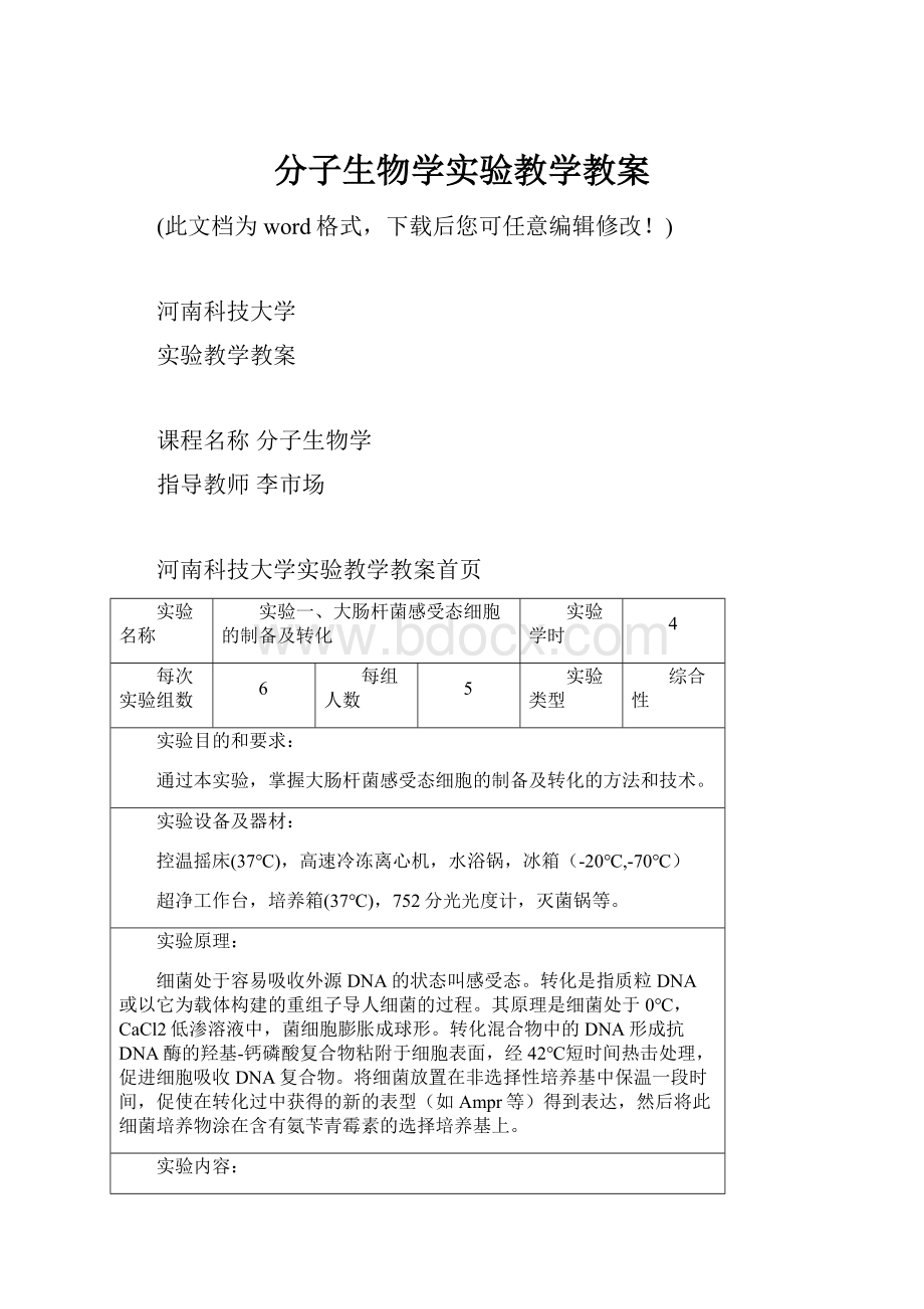 分子生物学实验教学教案.docx_第1页