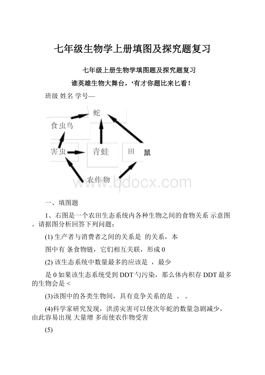 七年级生物学上册填图及探究题复习.docx