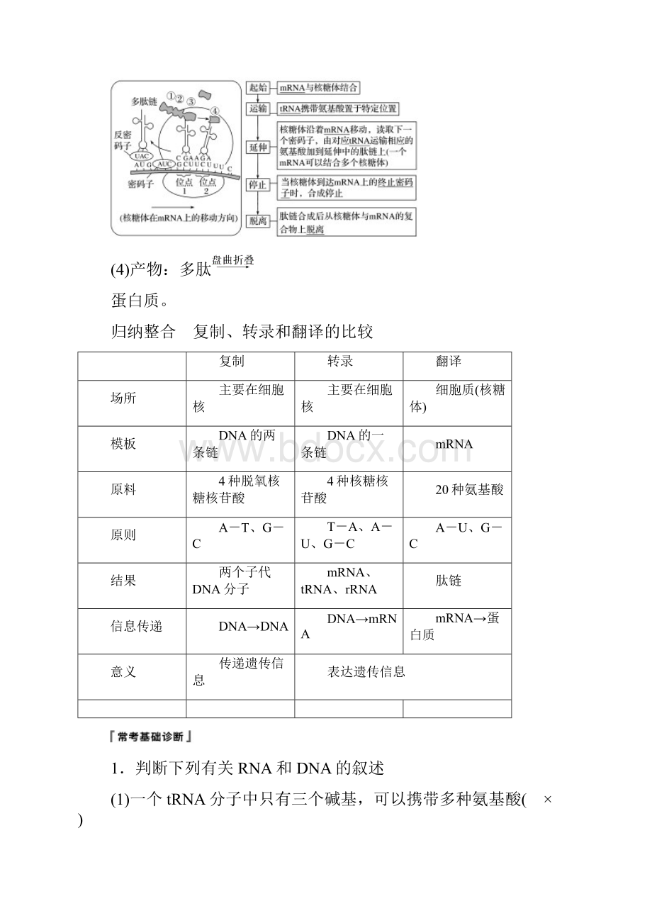 北师大版高考大一轮复习第五单元遗传的分子基础第16讲遗传信息的表达讲义生物.docx_第3页