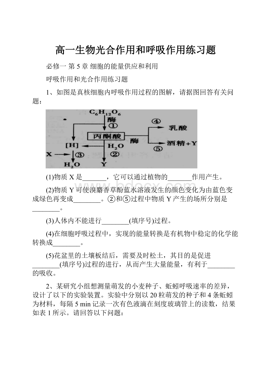 高一生物光合作用和呼吸作用练习题.docx_第1页