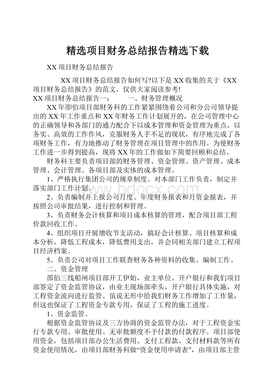 精选项目财务总结报告精选下载.docx_第1页