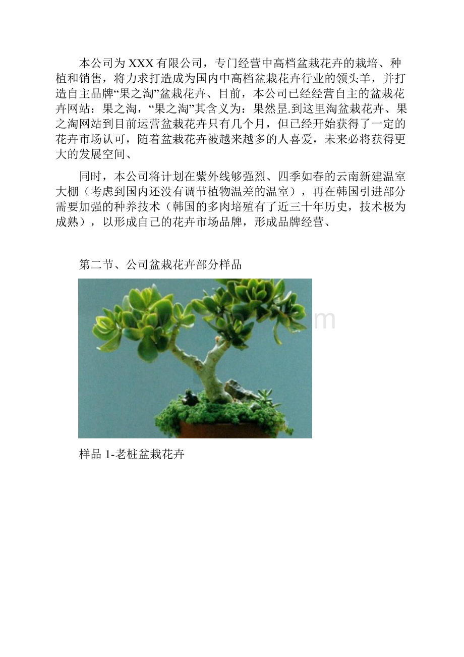 中高端盆栽花卉网站融资经营项目商业计划书.docx_第3页