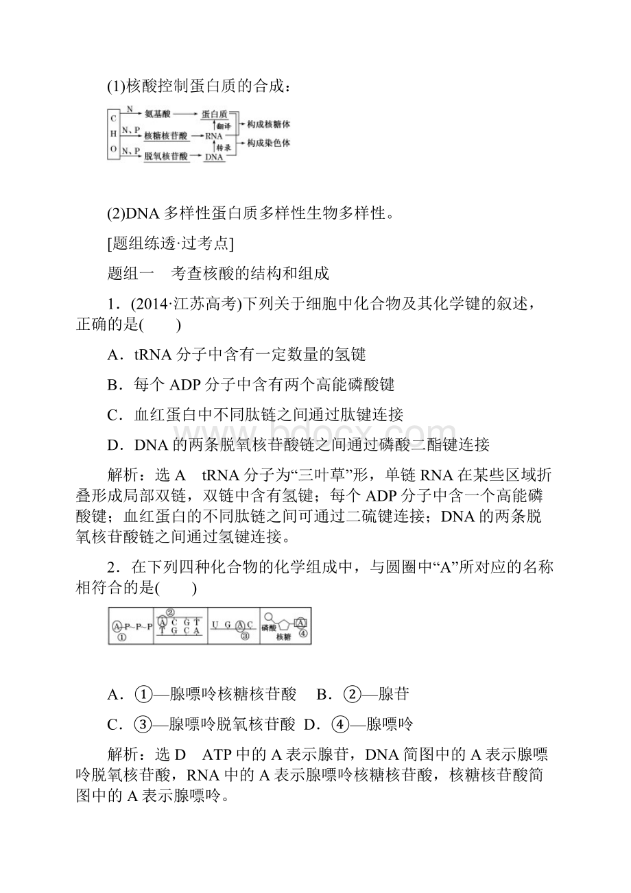 版高考生物一轮复习第一单元第4讲核酸糖类和脂质讲义.docx_第3页